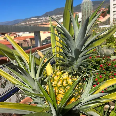Ocean View Haven, Perla Del Mar Appartamento *